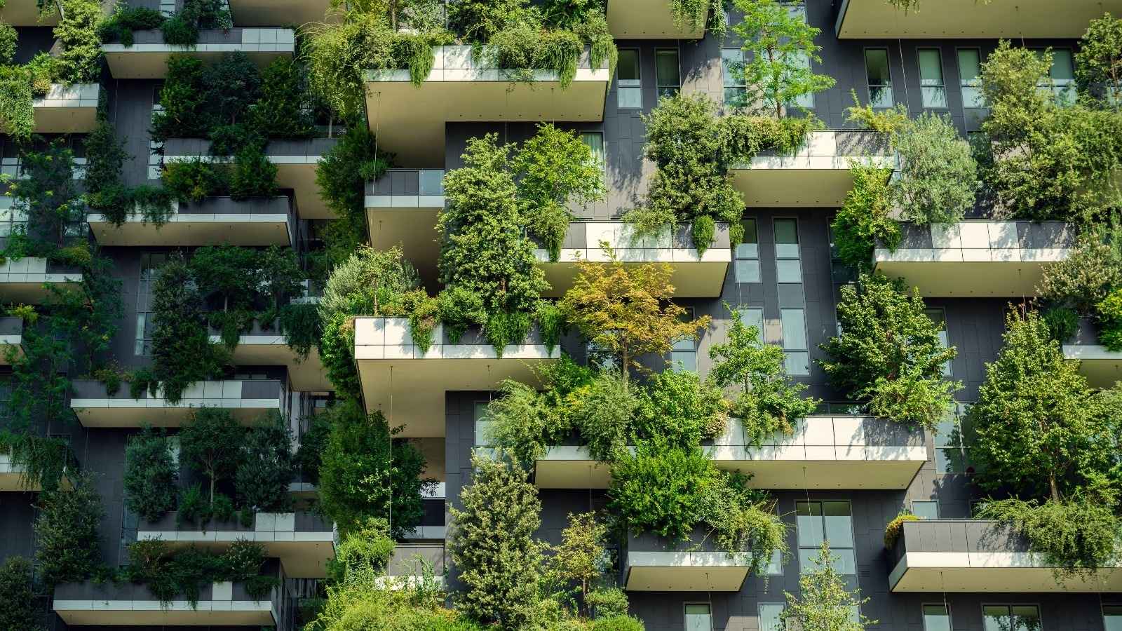 Sustainability and Green Building Alignment